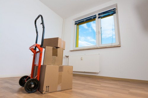 Careful loading of household items for a move in the House area